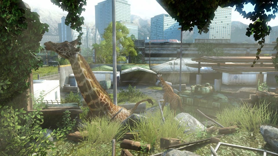 Over giraffen, pandemieÃ«n en videogames